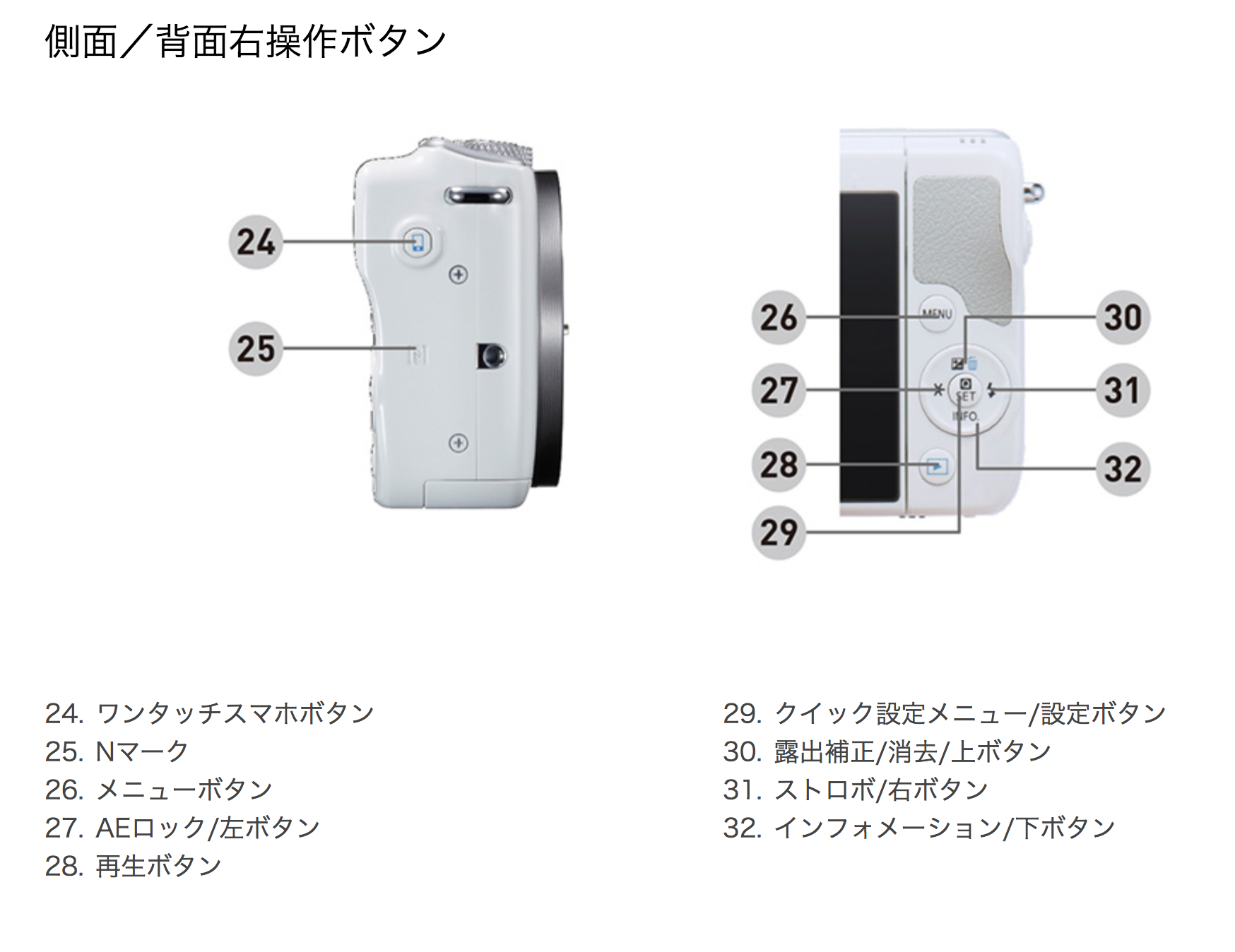 M10 側面